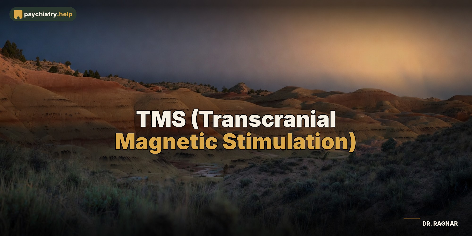TMS (Transcranial Magnetic Stimulation)