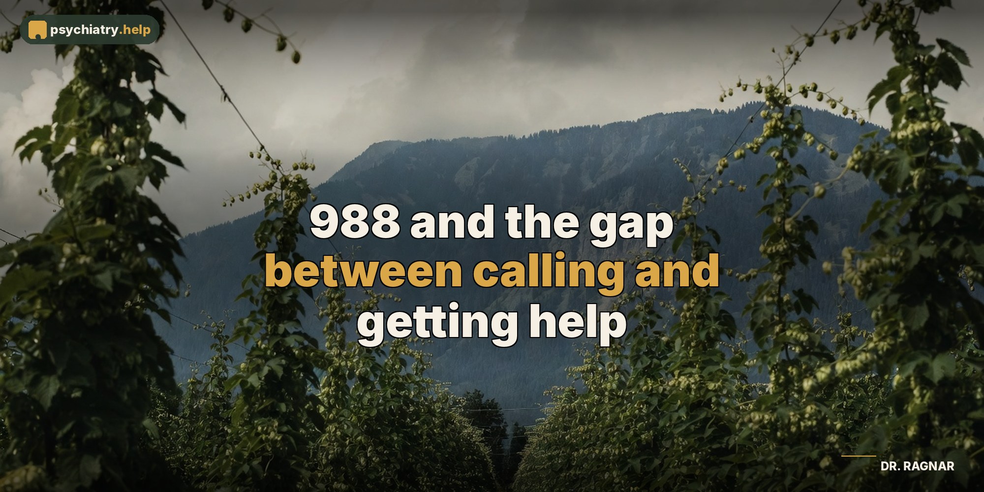 988 and the gap between calling and getting help