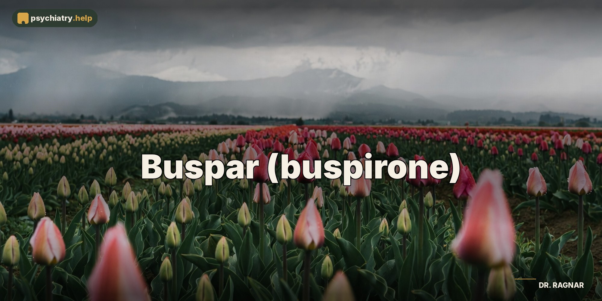 Buspar (buspirone)