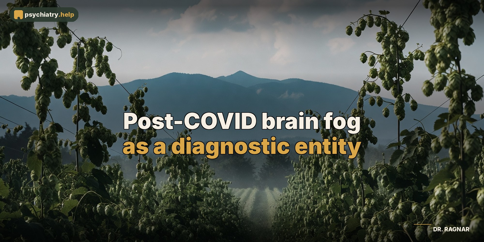 Post-COVID brain fog as a diagnostic entity