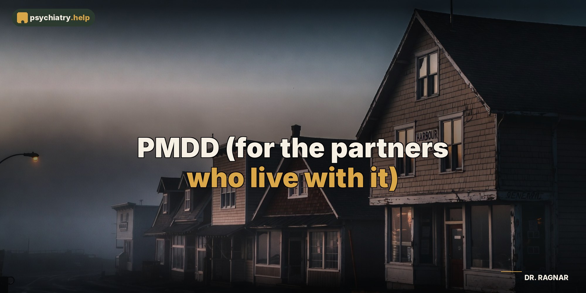 PMDD (for the partners who live with it)