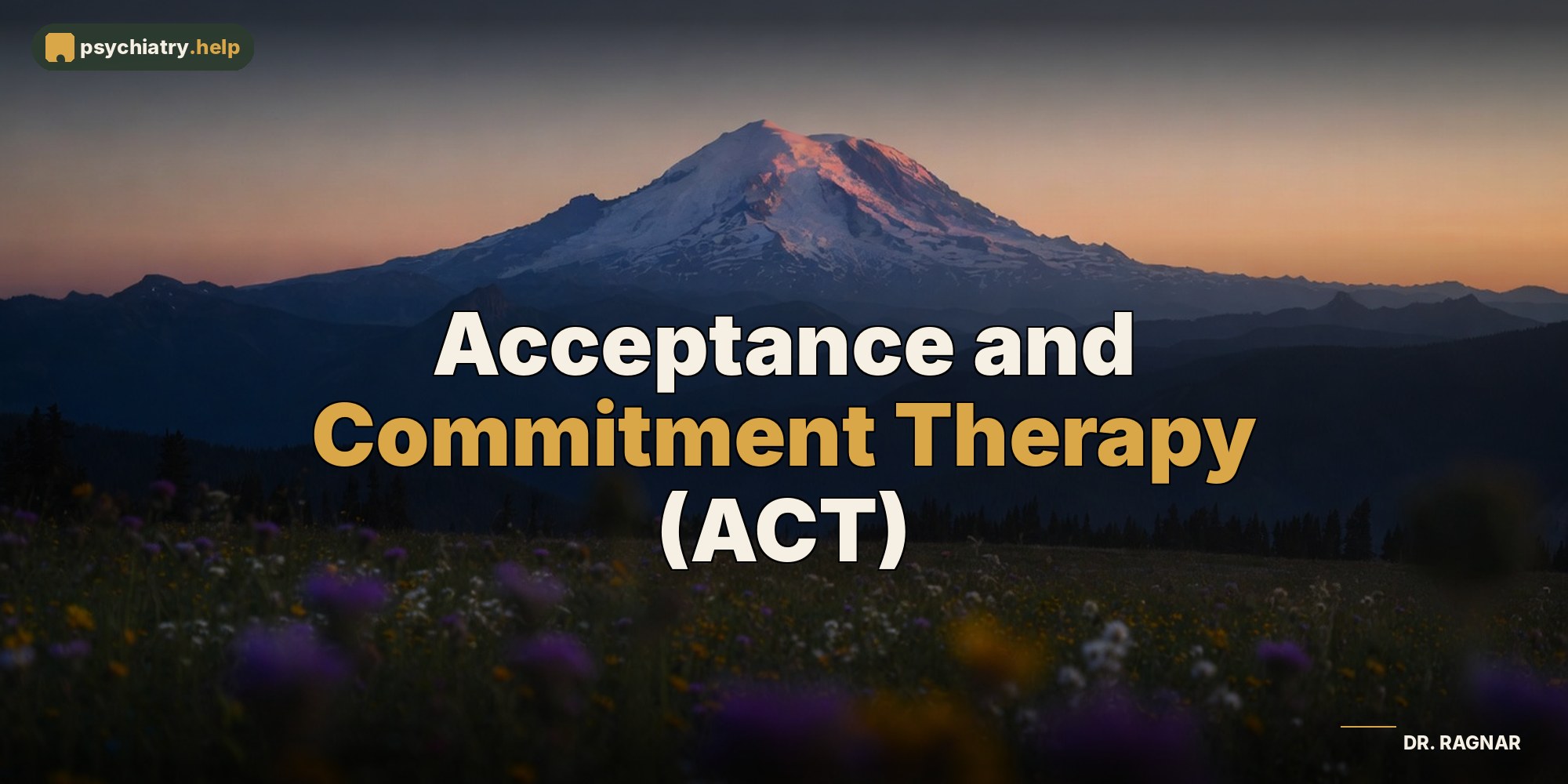 Acceptance and Commitment Therapy (ACT)
