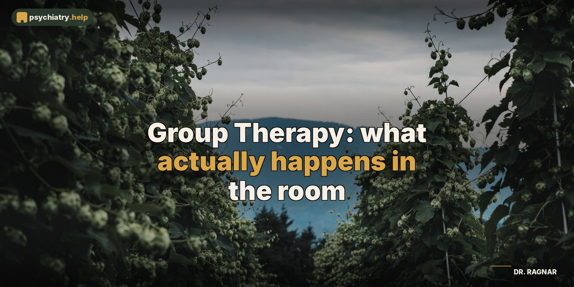 Group Therapy: what actually happens in the room