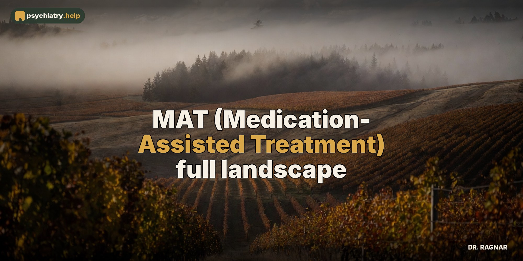 MAT (Medication-Assisted Treatment) full landscape
