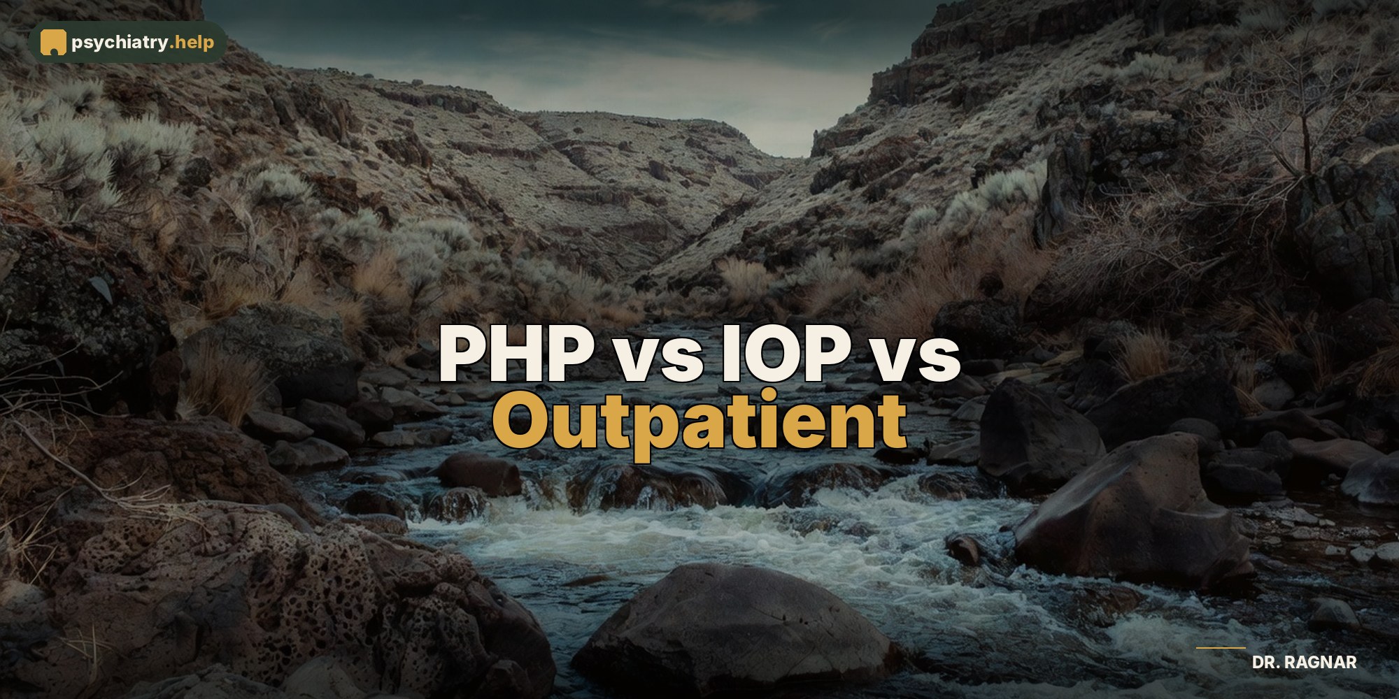 PHP vs IOP vs Outpatient