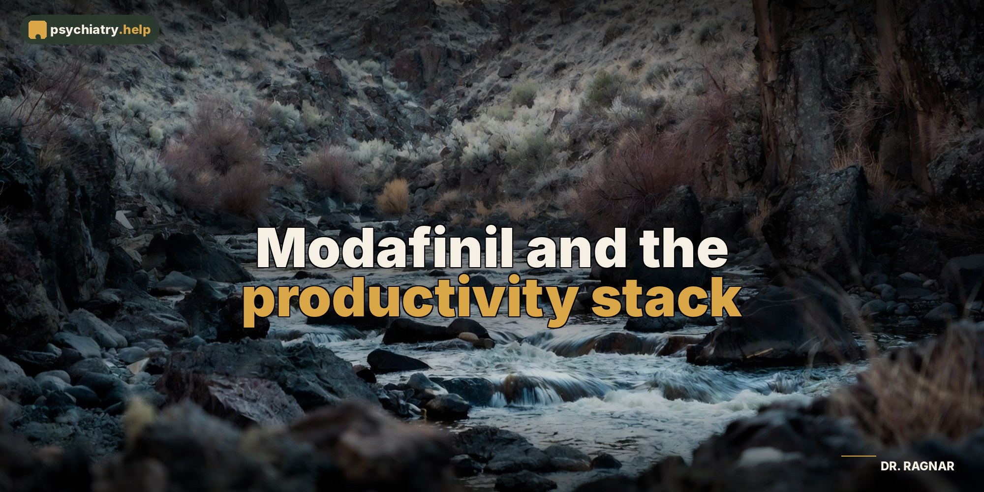 Modafinil and the productivity stack