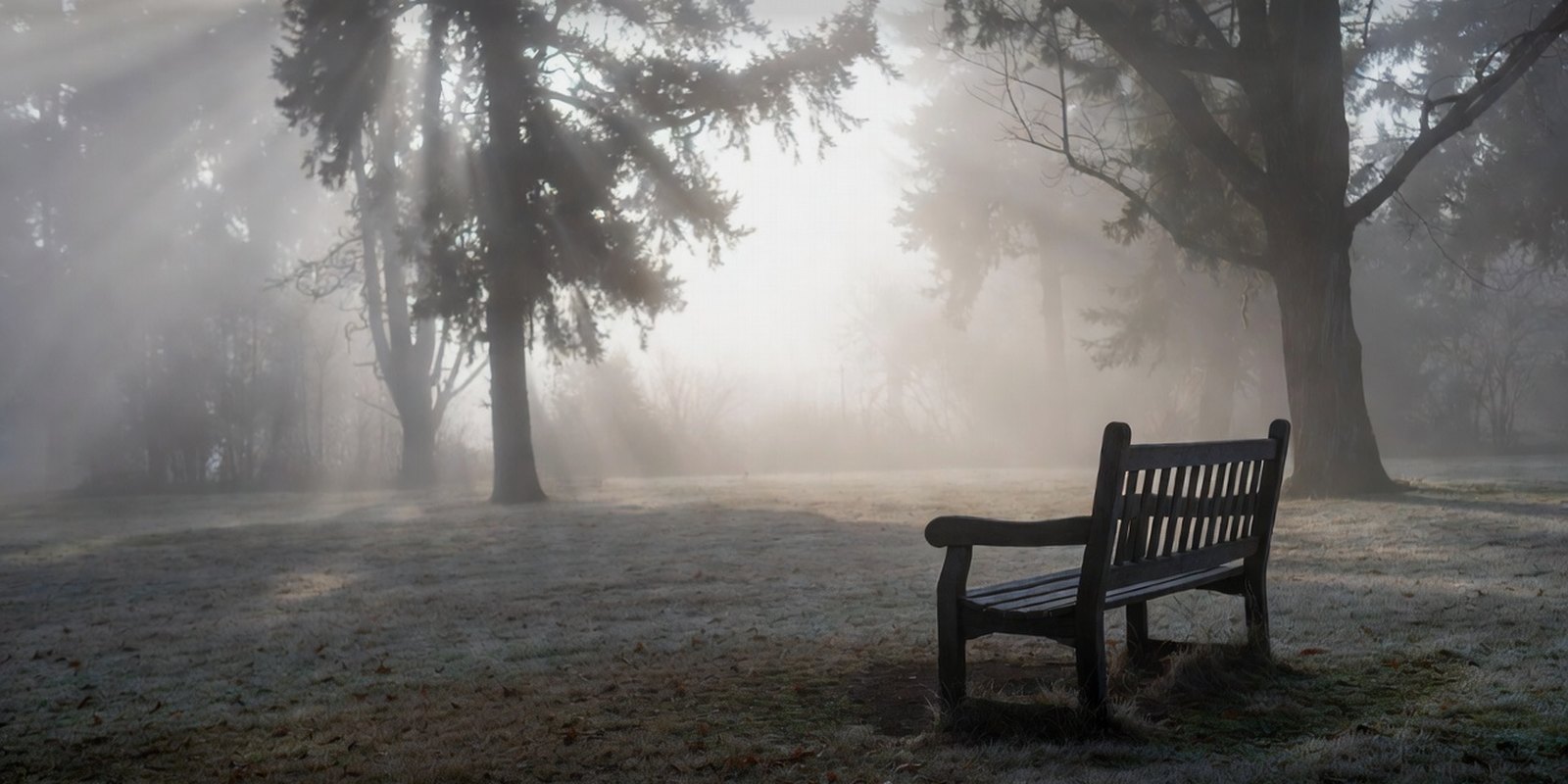 Cognitive Behavioral Therapy (CBT)